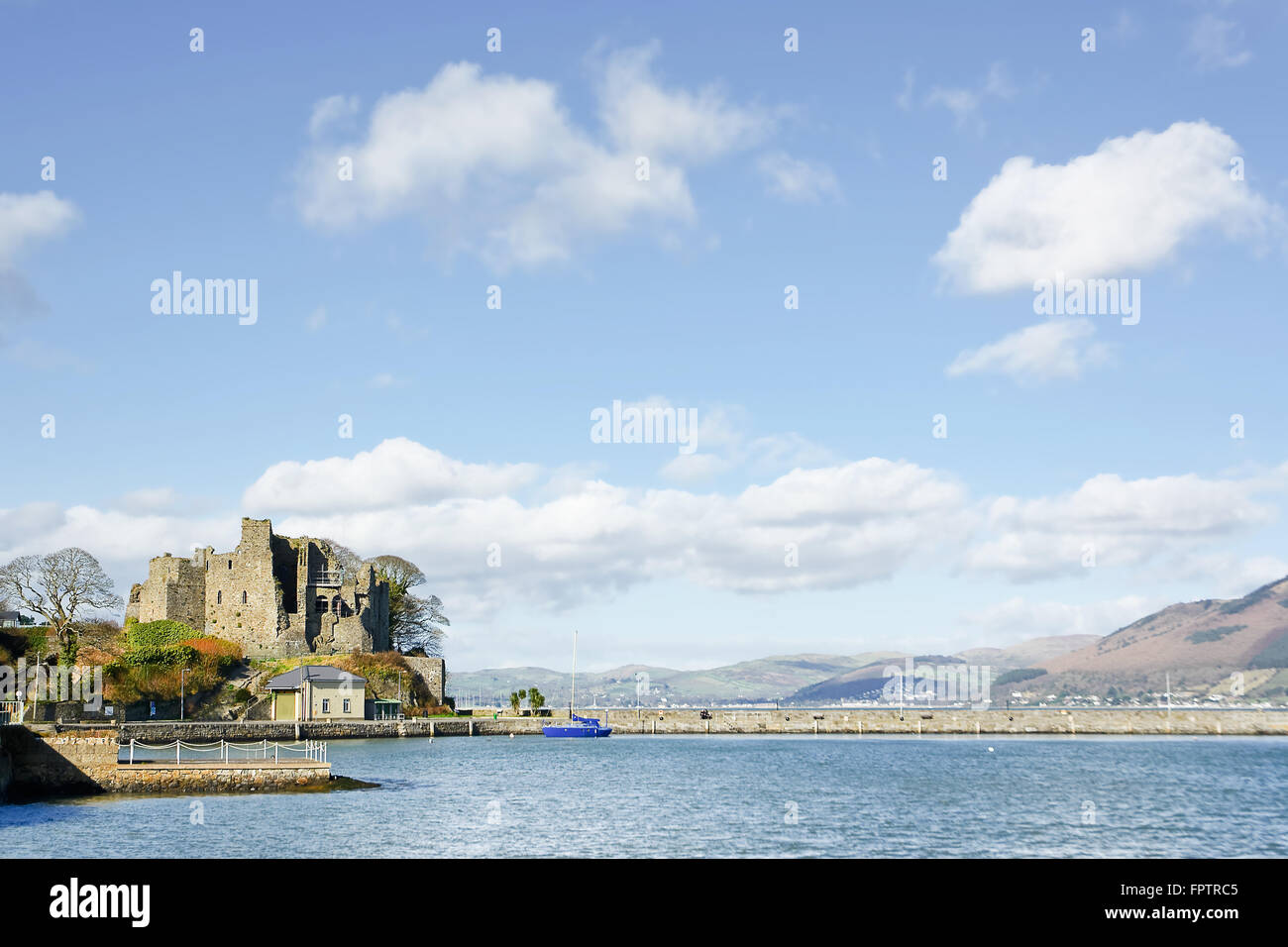 King John's Castle à Carlingford (Irlande) Banque D'Images