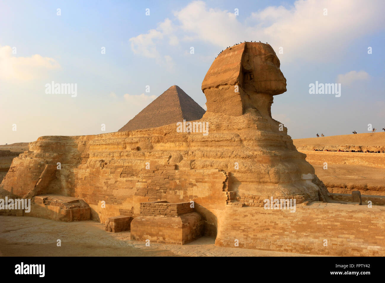 Le Sphinx, avec la ressemblance de Khafré et un corps de lions à Gizeh en Egypte Banque D'Images