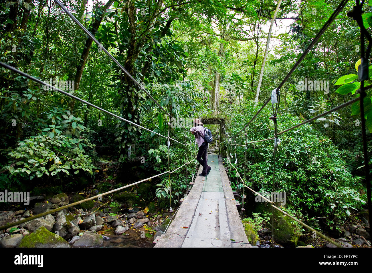 Bridge à El Chorro de el Macho, El Valle Antón, Panamá Banque D'Images