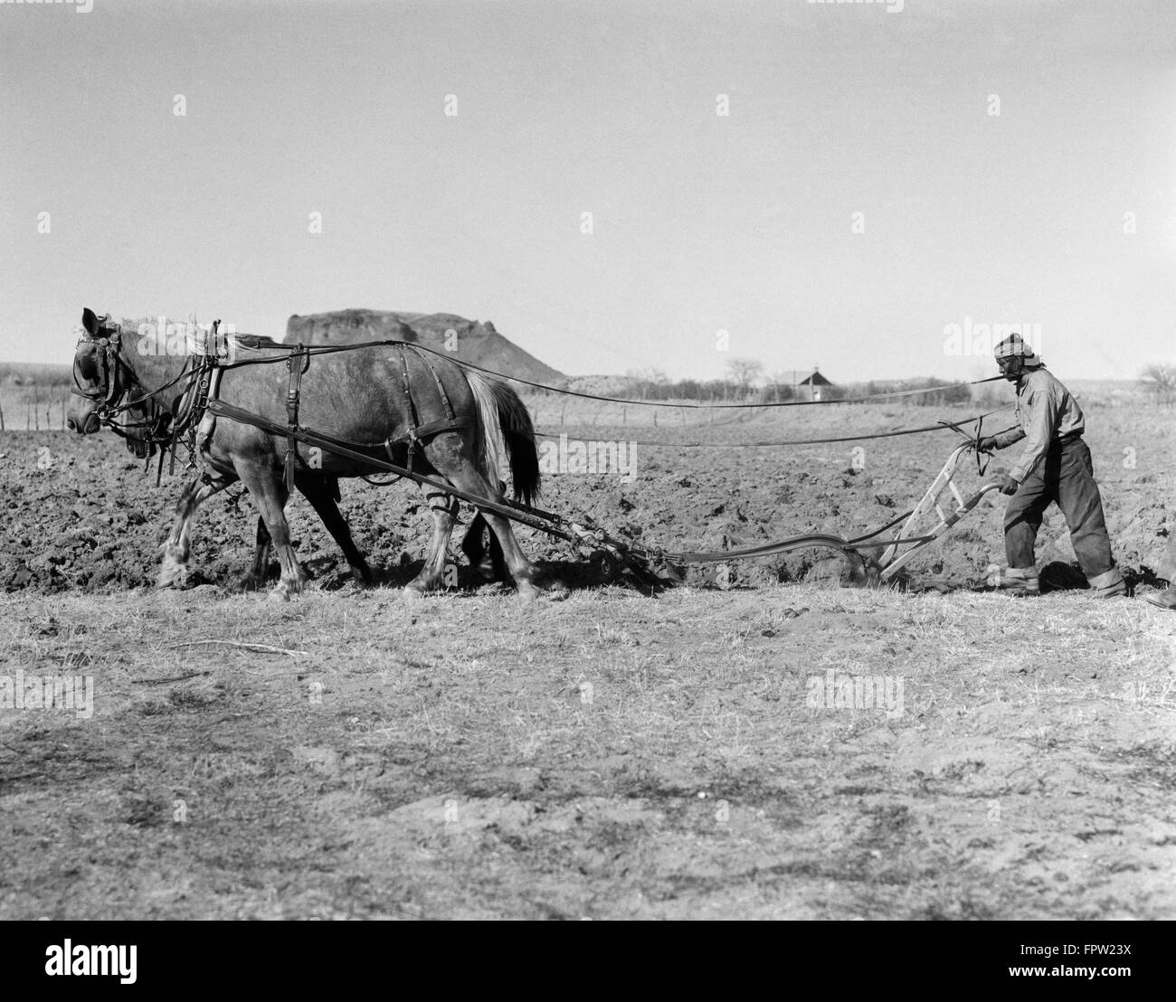 1930 Native American Indian MAN FARMER PLOUGHING CHAMP AVEC CHARRUE CHEVAL SAN ILDEFONSO PUEBLO NOUVEAU MEXIQUE USA Banque D'Images
