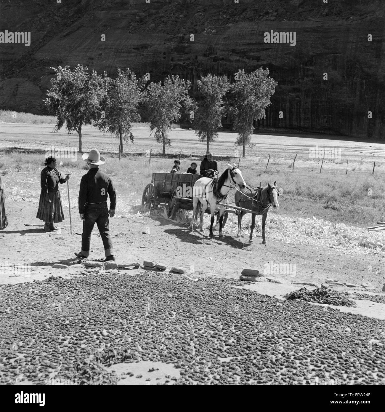 1930 GROUPE D'INDIENS NAVAJO NATIVE AMERICAN MAÏS SÉCHAGE REGARDANT FEMME ENFANT ÉQUITATION DANS PANIER WAGON TIRÉ PAR DEUX CHEVAUX Banque D'Images