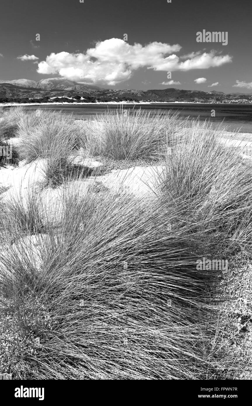 Siniscola,Sardaigne,Italie, 10/2012. Dunes de sable de la plage de Capo Comino dans une journée ensoleillée Banque D'Images