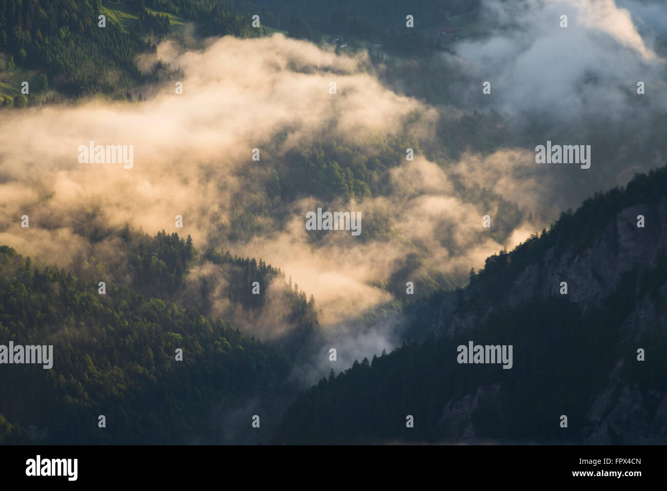 Les nuages et le brouillard s'élevant de la gorge partnachklamm au lever du soleil, garmisch-partenkirchen, Bavière, Allemagne Banque D'Images