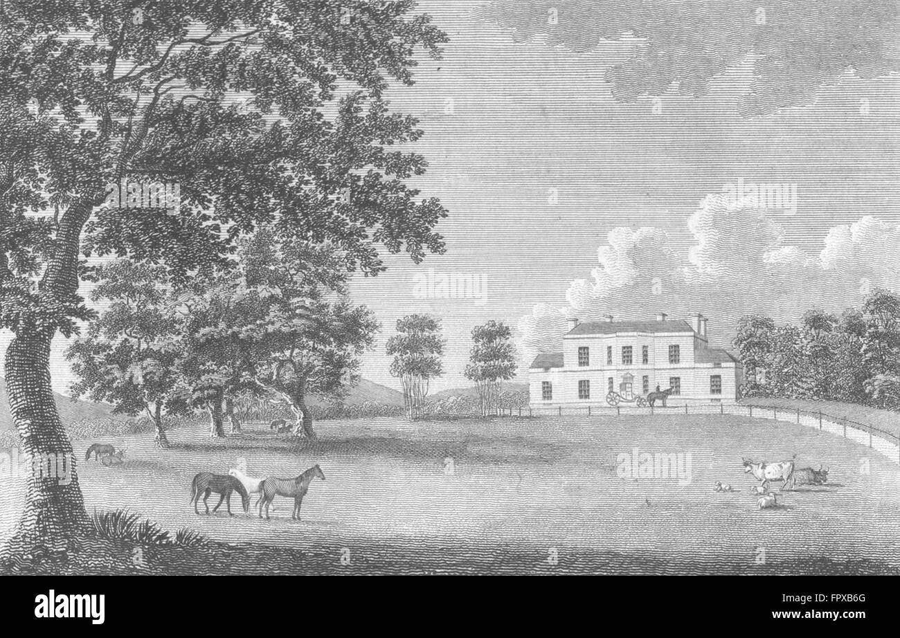 CHESHIRE : Stretton, dans, John Leech : Harrison, antique print 1788 Banque D'Images
