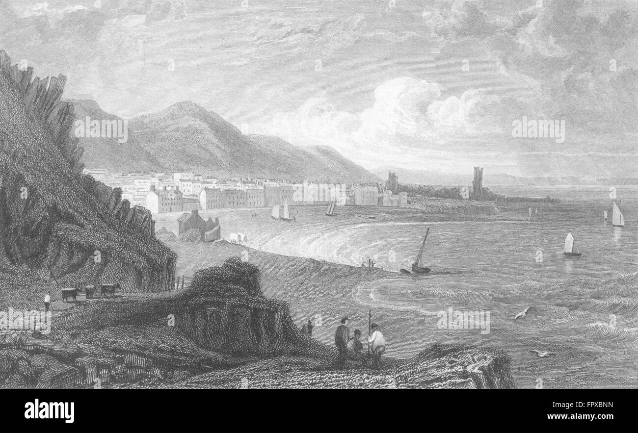 CARDIGANSHIRE : Cardigan Aberystwyth : Ville : bay, antique print c1831 Banque D'Images