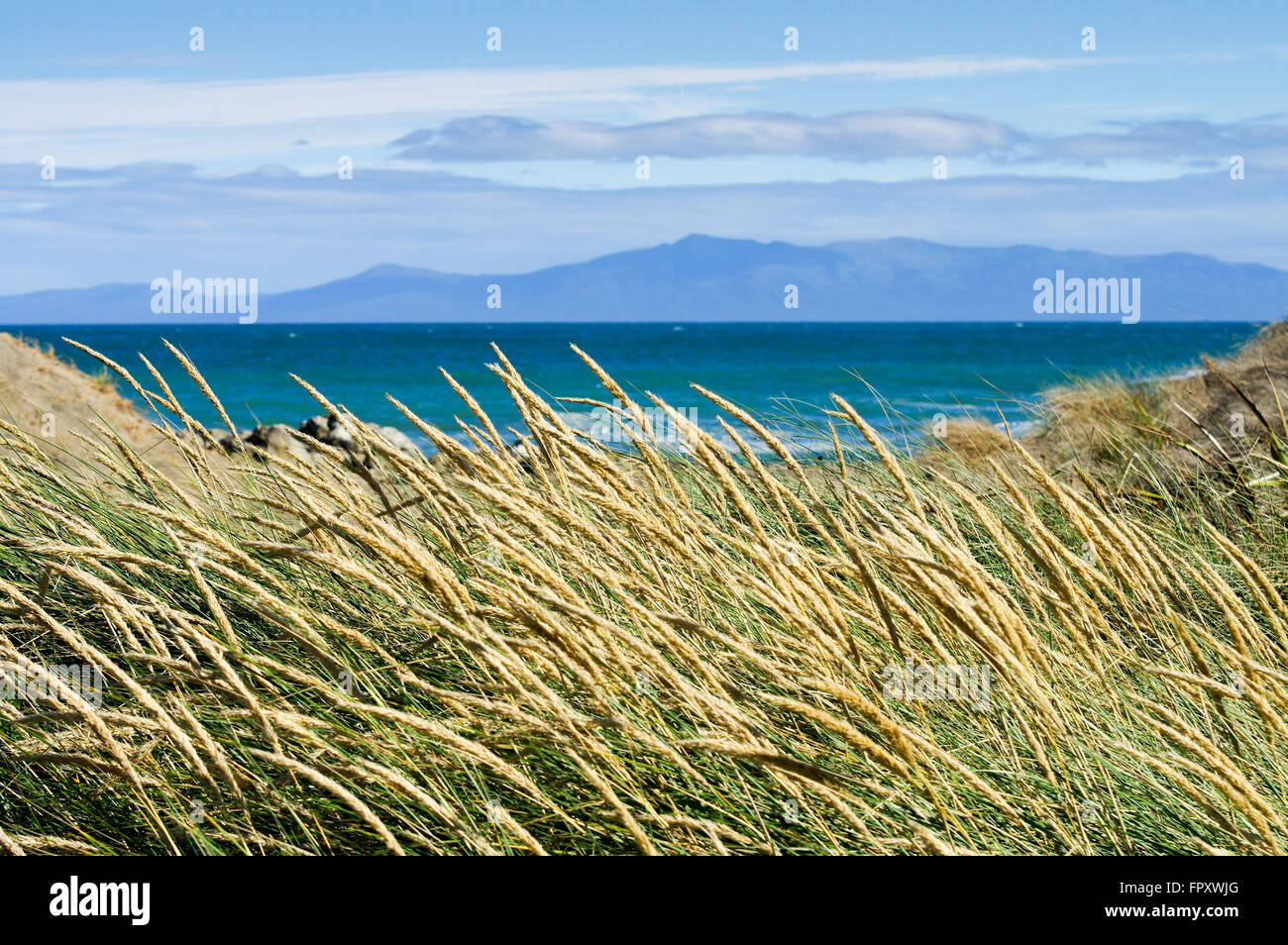 Vue sur l'île de Stewart à travers le détroit de Foveaux d'une plage Howells Point - Riverton, Nouvelle-Zélande Banque D'Images