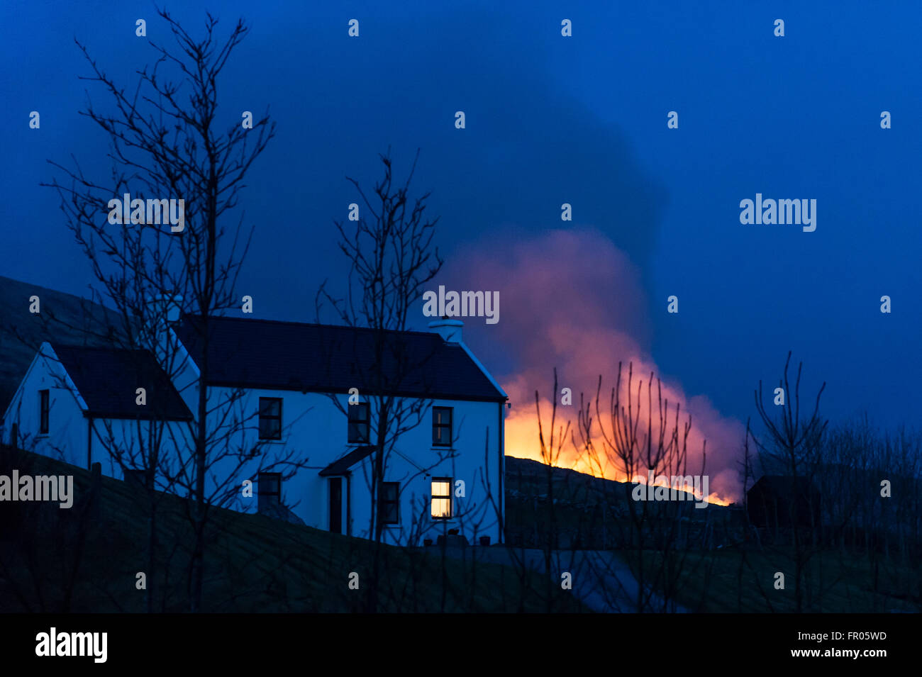 Durrus, Irlande. 20 mars, 2016. Un feu d'herbe sur les pentes du mont Corrin burns dangereusement près d'une maison, qui est situé sur la route de la mine, Durrus. Credit : Andy Gibson/Alamy Live News. Banque D'Images