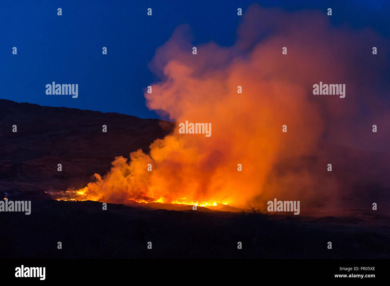 Durrus, Irlande. 20 mars, 2016. Un feu d'herbe sur les pentes du mont Corrin burns hors de contrôle, près de la Mine Road, Durrus. Credit : Andy Gibson/Alamy Live News. Banque D'Images