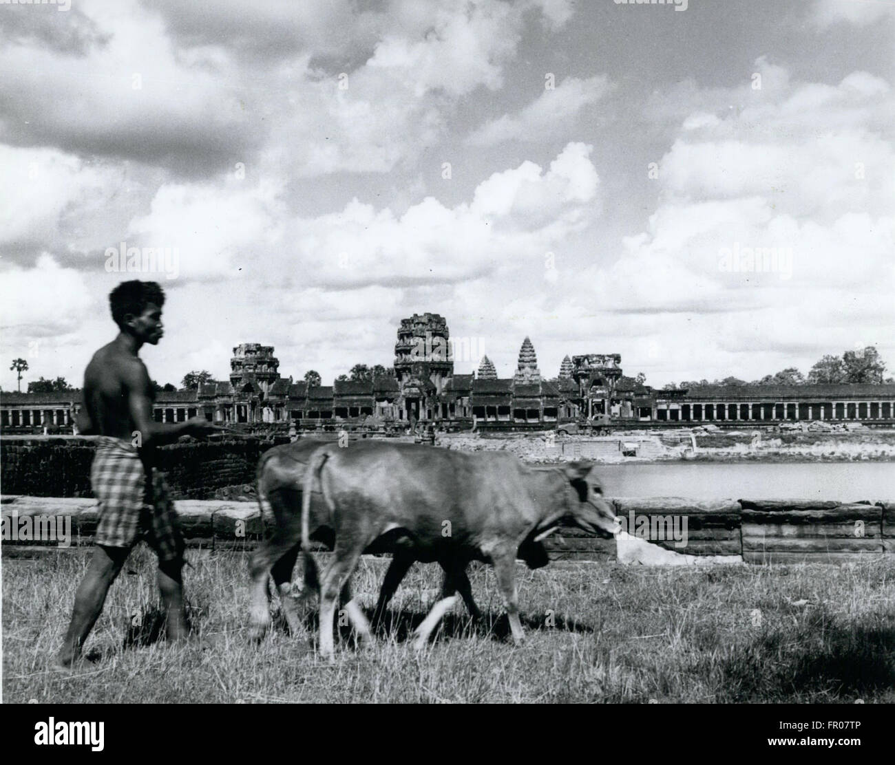1962 - La vie comme d'habitude : Un agriculteur près de Siem Reap, Cambodge, n'est pas impressionné par Angkor Wat, le temple fantastique construit au xiième siècle. Bien que c'est une des merveilles du monde, il est plus habitué à ce que sont les visiteurs, et qu'il ignore. © Keystone Photos USA/ZUMAPRESS.com/Alamy Live News Banque D'Images