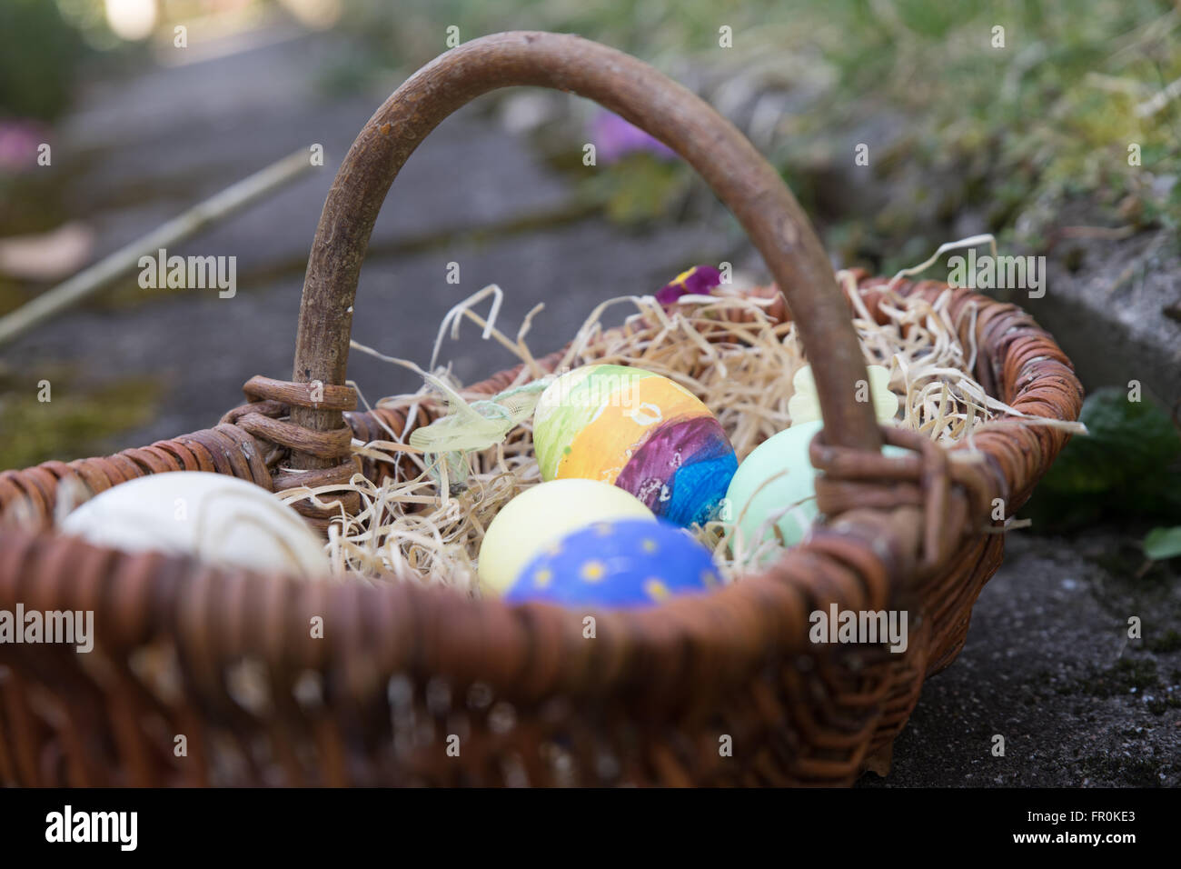 Les oeufs de Pâques colorés dans un panier avec de la paille et de fleurs Banque D'Images