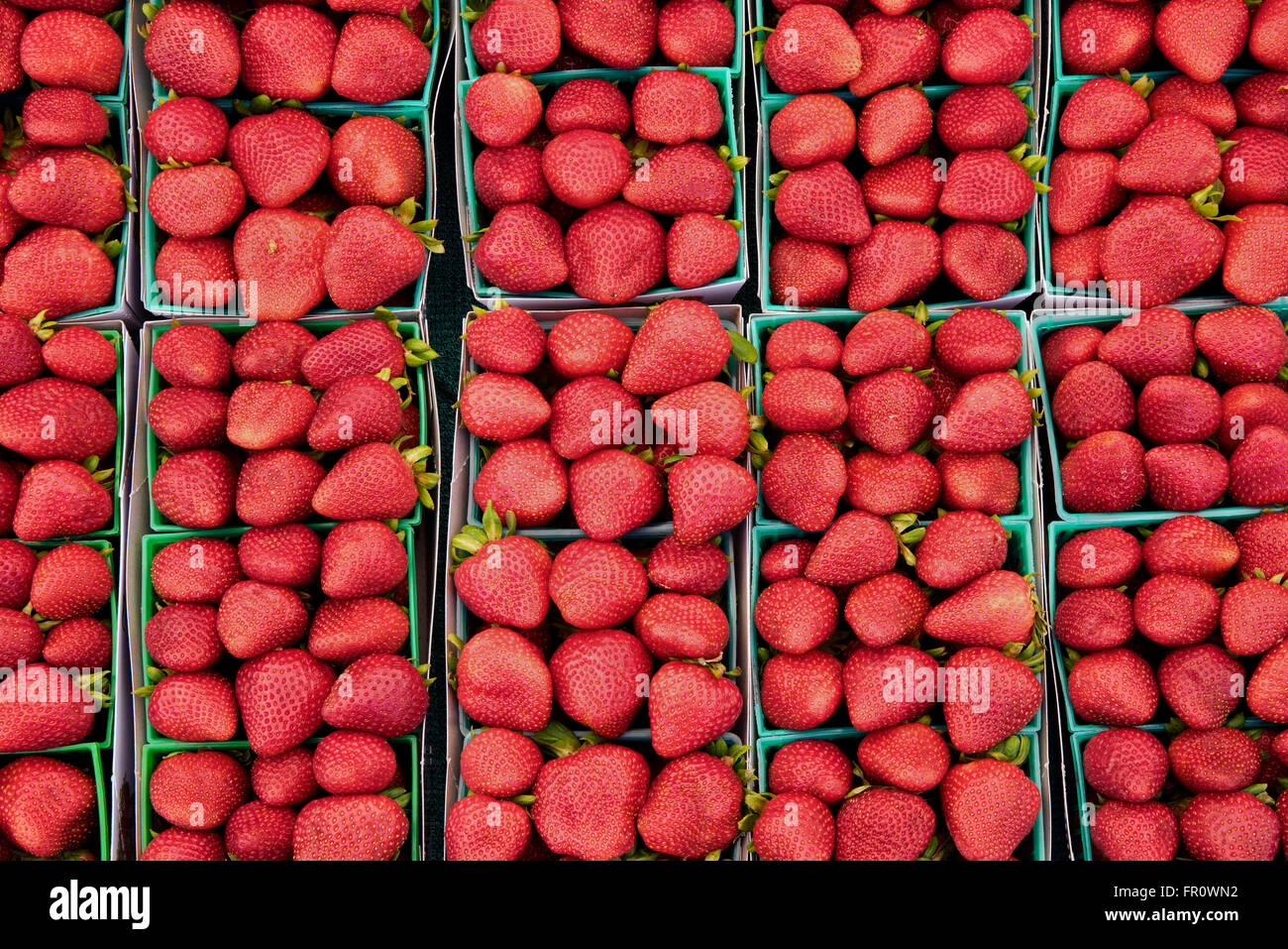 Les fraises à un marché de producteurs. Los Angeles, Californie Banque D'Images