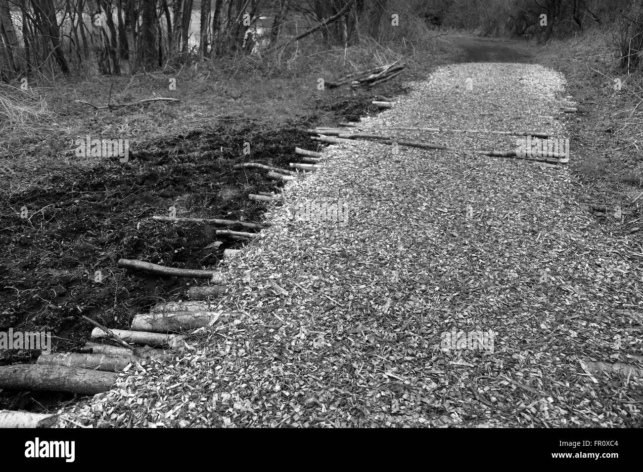 Copeaux de bois naturel chemin à travers les bois pour un sentier dans la nature, avec les journaux pour ajouter la force. Mars 2016 Banque D'Images