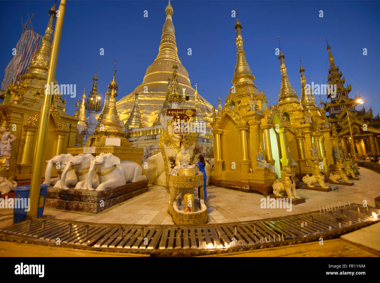 Paya Shwedagon d'or, le plus sacré de pèlerinage de Yangon, Myanmar Banque D'Images