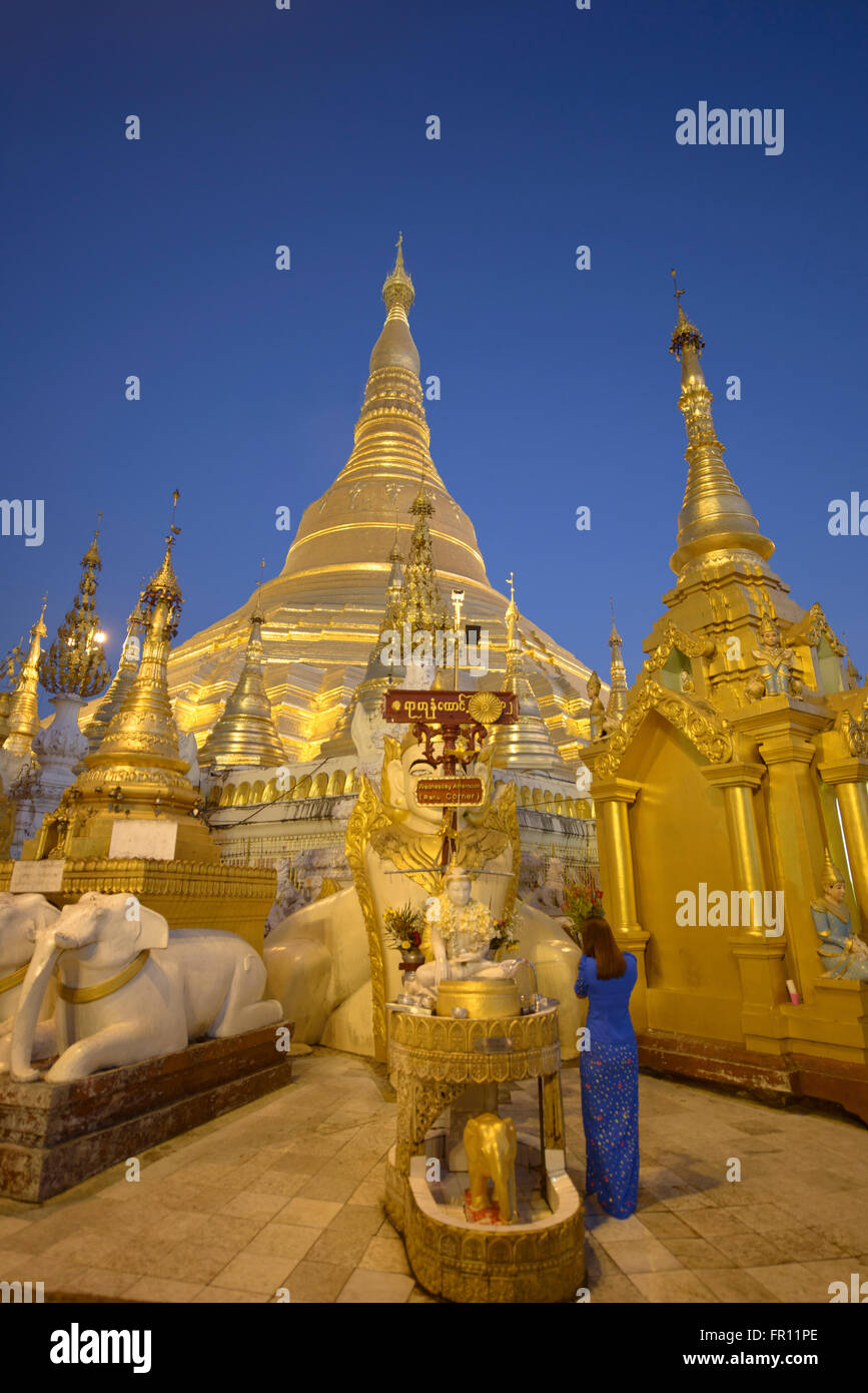 Paya Shwedagon d'or, le plus sacré de pèlerinage de Yangon, Myanmar Banque D'Images
