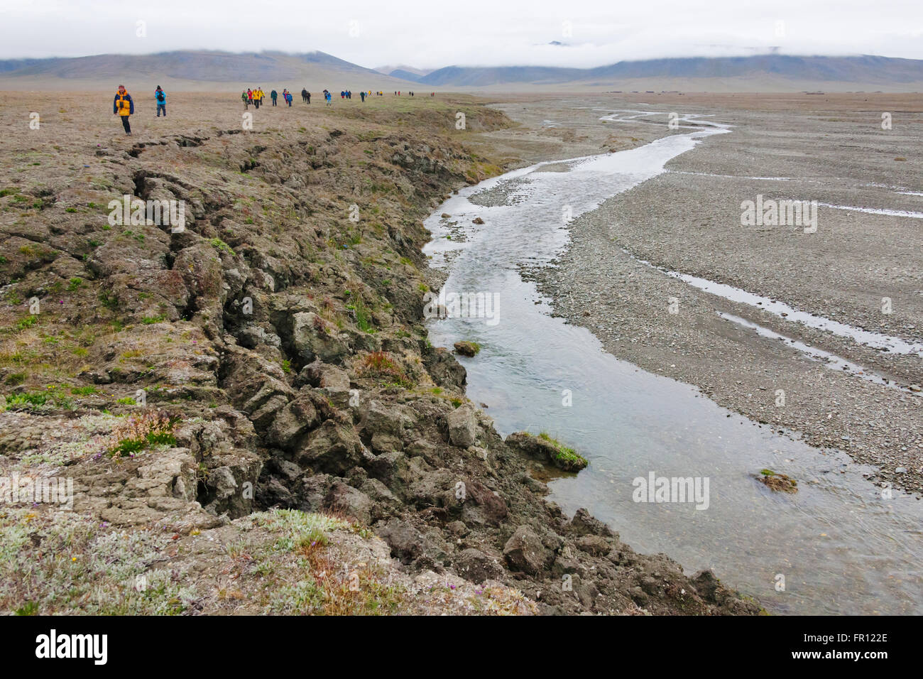 Les touristes en randonnée sur l'île Wrangel, mer de Tchoukotka, en Russie extrême-orient Banque D'Images