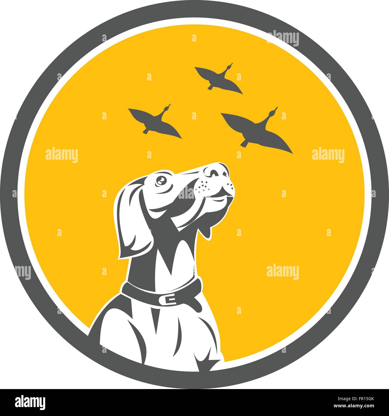 Illustration d'un pointer anglais chien à la recherche jusqu'à vol d'oies sauvages mis à l'intérieur du cercle fait en style rétro. Illustration de Vecteur