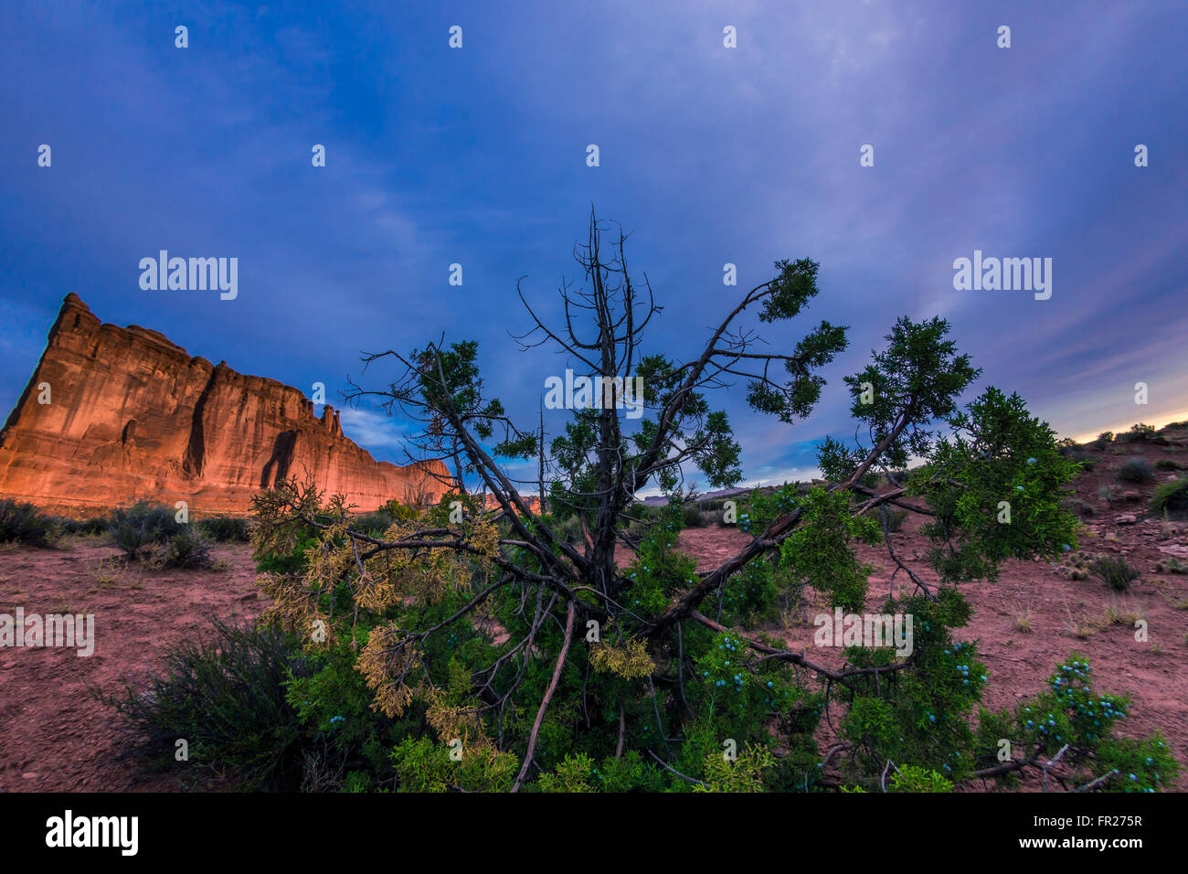 Park Avenue Arches National Park, Utah, USA Banque D'Images