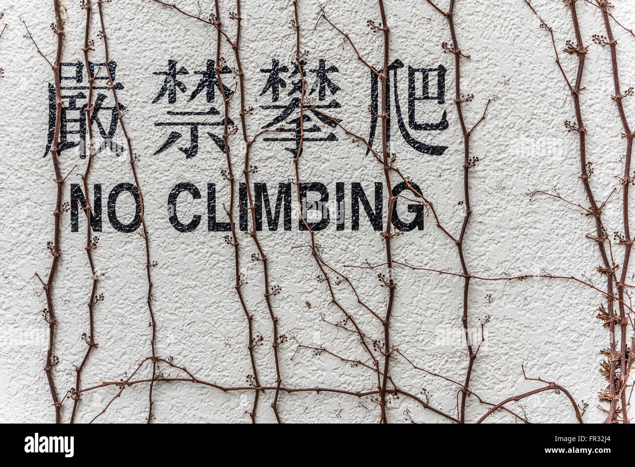 Pas de mot chinois et anglais d'Escalade sur mur Banque D'Images