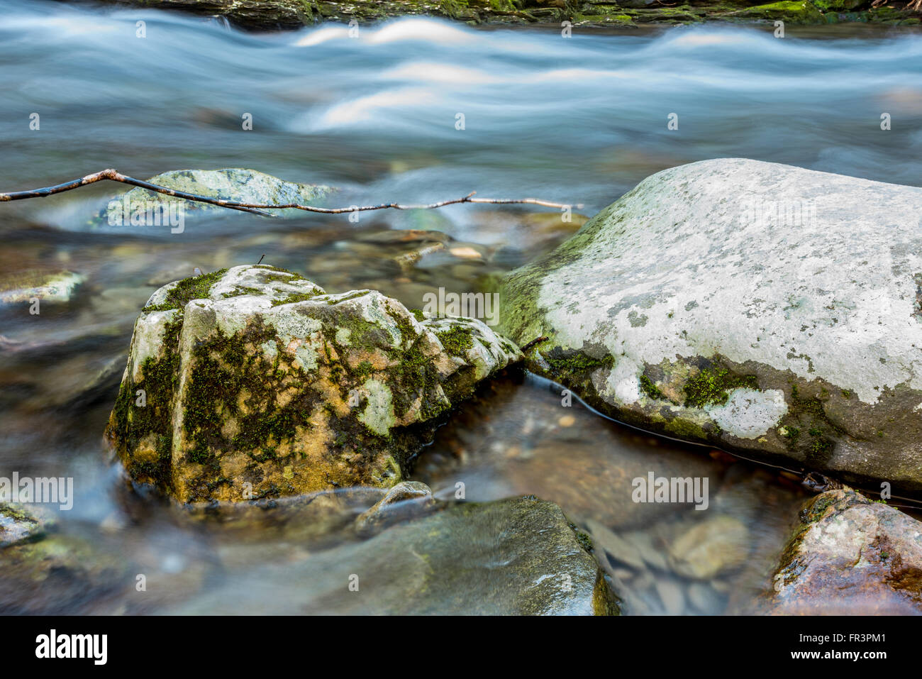 La fonte des blocs moussus passé se précipiter dans un ruisseau de la Great Smoky Mountains National Park Banque D'Images