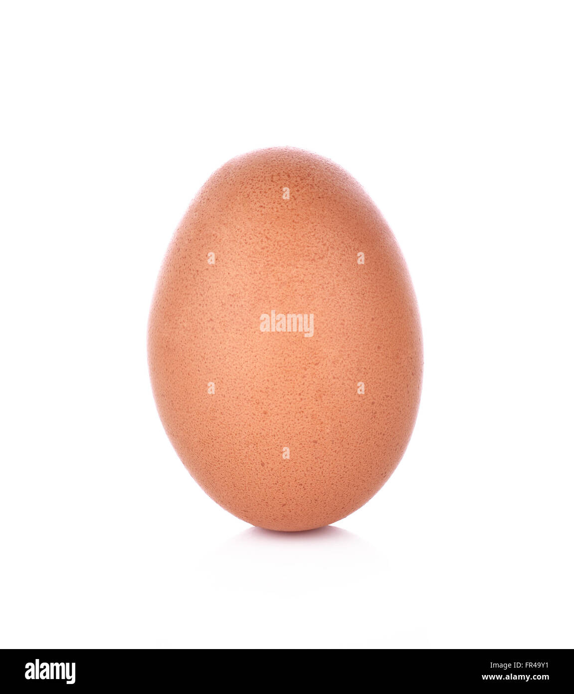 Oeuf de poule marron unique isolé sur fond blanc Banque D'Images