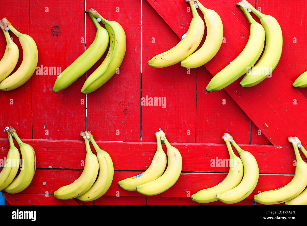 L'alimentation : la pendaison des bananes sur une porte en bois rouge Photo  Stock - Alamy