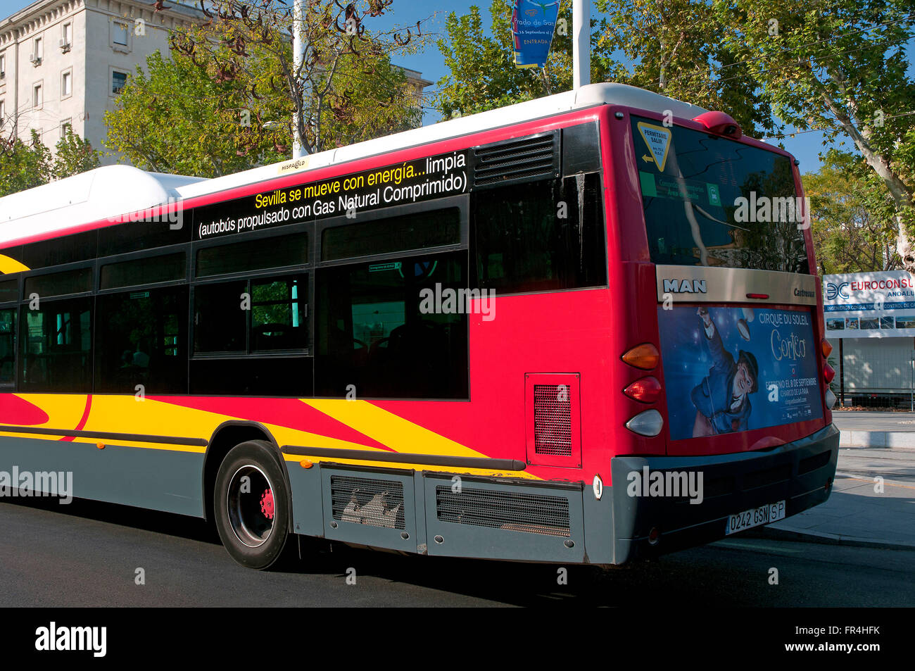 City bus fonctionnant au gaz naturel, Séville, Andalousie, Espagne, Europe Banque D'Images