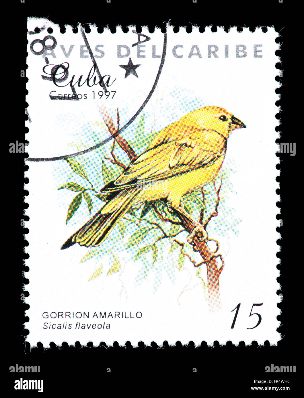 Timbre-poste de Cuba représentant un safran (Sicalis flaveola) finch Banque D'Images