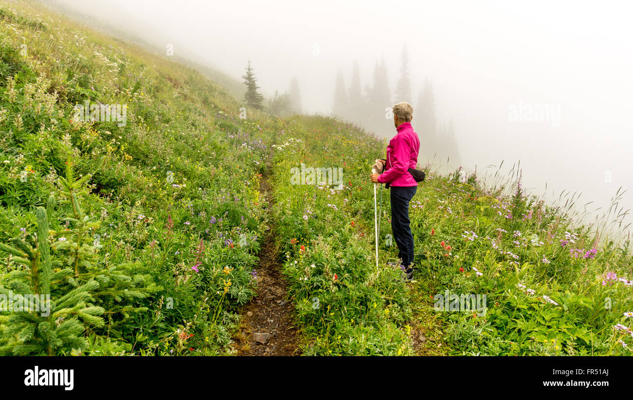 Woman Hiking dans les montagnes dans les hautes terres de Shuswap, centre de la Colombie-Britannique, Canada Banque D'Images