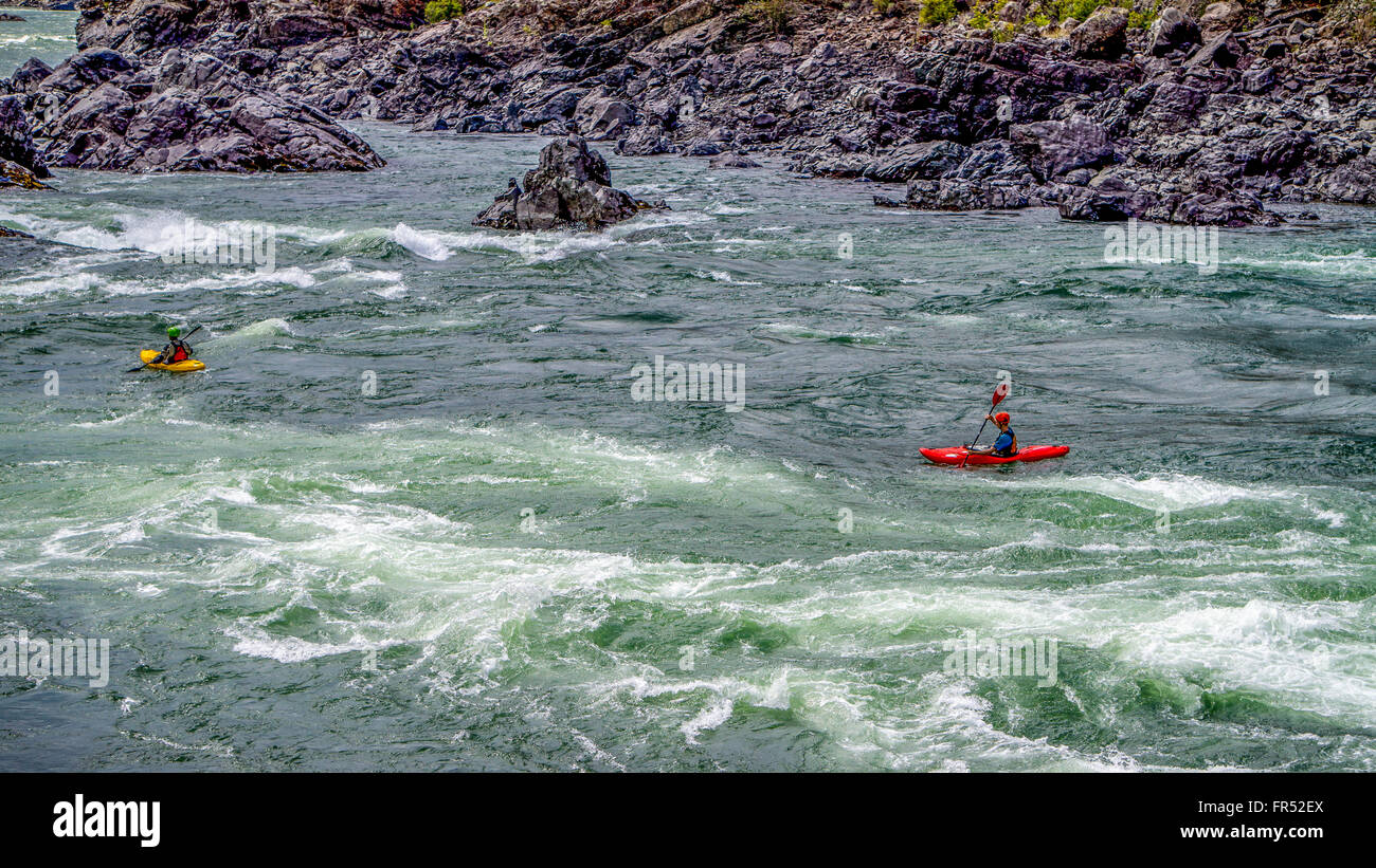 Les kayakistes naviguant dans les Rapids blancs de l'eau et de rochers dans la rivière Fraser, la rivière serpente à travers le Canyon du Fraser en Colombie-Britannique, Canada Banque D'Images