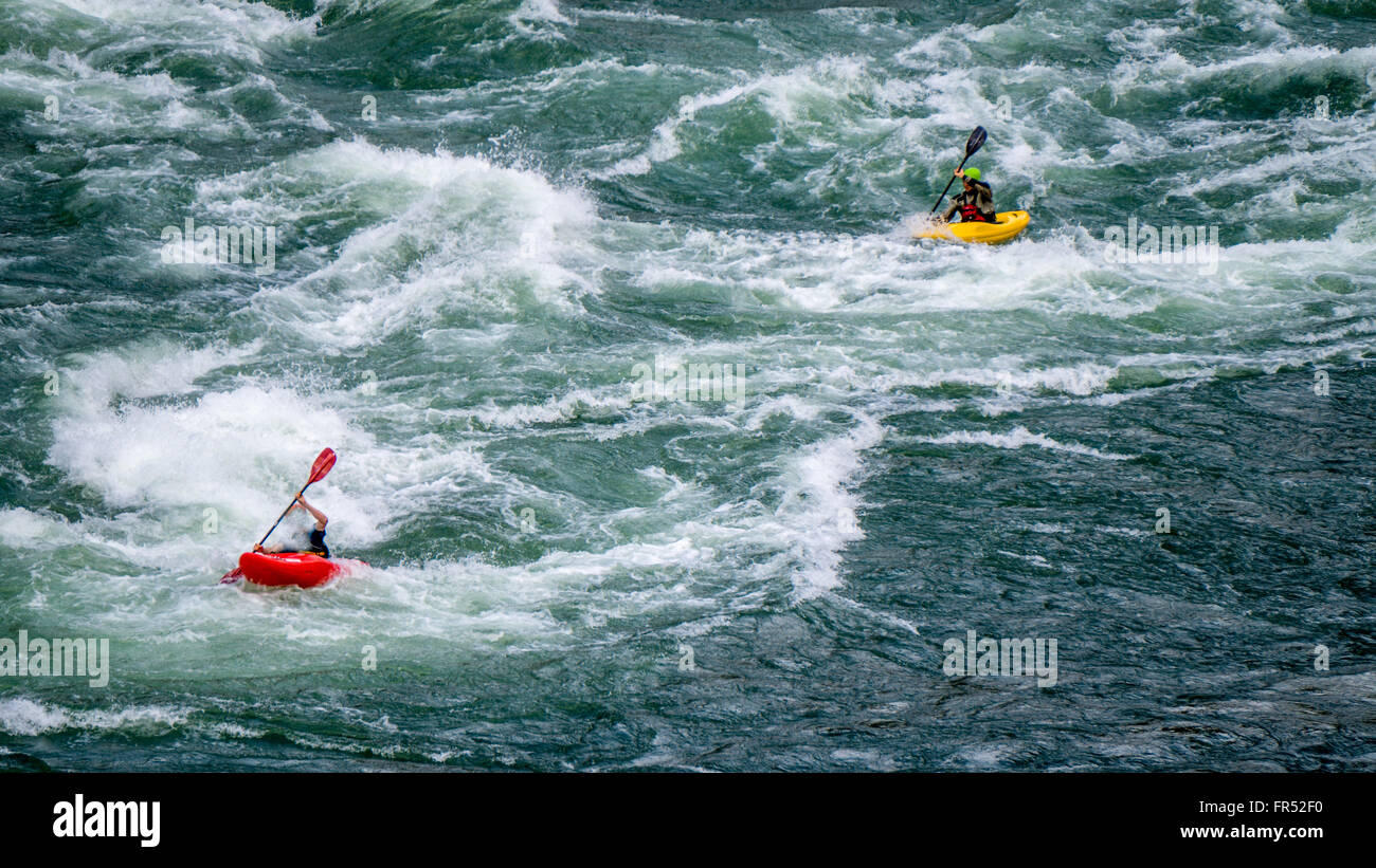Les kayakistes naviguant dans les Rapids blancs de l'eau et de rochers dans la rivière Fraser, la rivière serpente à travers le Canyon du Fraser en Colombie-Britannique, Canada Banque D'Images