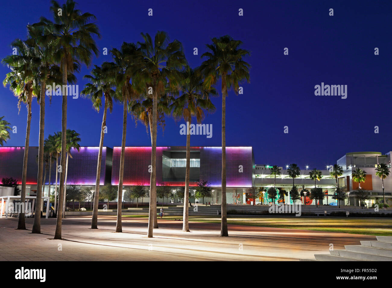 Tampa Museum of Art, à Curtis Hixon park, Tampa, en Floride, la nuit. Banque D'Images