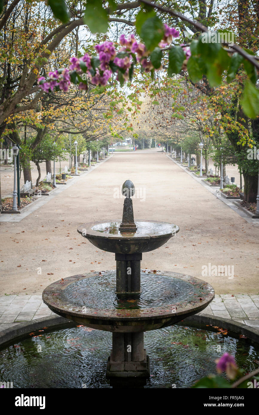 Paseo de la Alameda. Le Parque de la Alameda. Santiago de Compostela. Banque D'Images