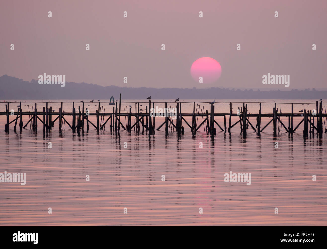 Coucher de soleil sur le port de Poole, Dorset, England, UK Banque D'Images