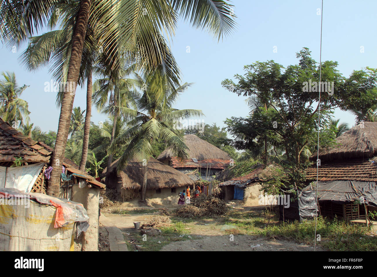 Kumrokhali village de l'ouest du Bengale, en Inde le 02 décembre 2012. Banque D'Images