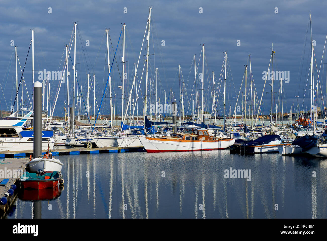 Yacht Haven, Troon Ayrshire du sud de l'Écosse, Royaume-Uni Banque D'Images