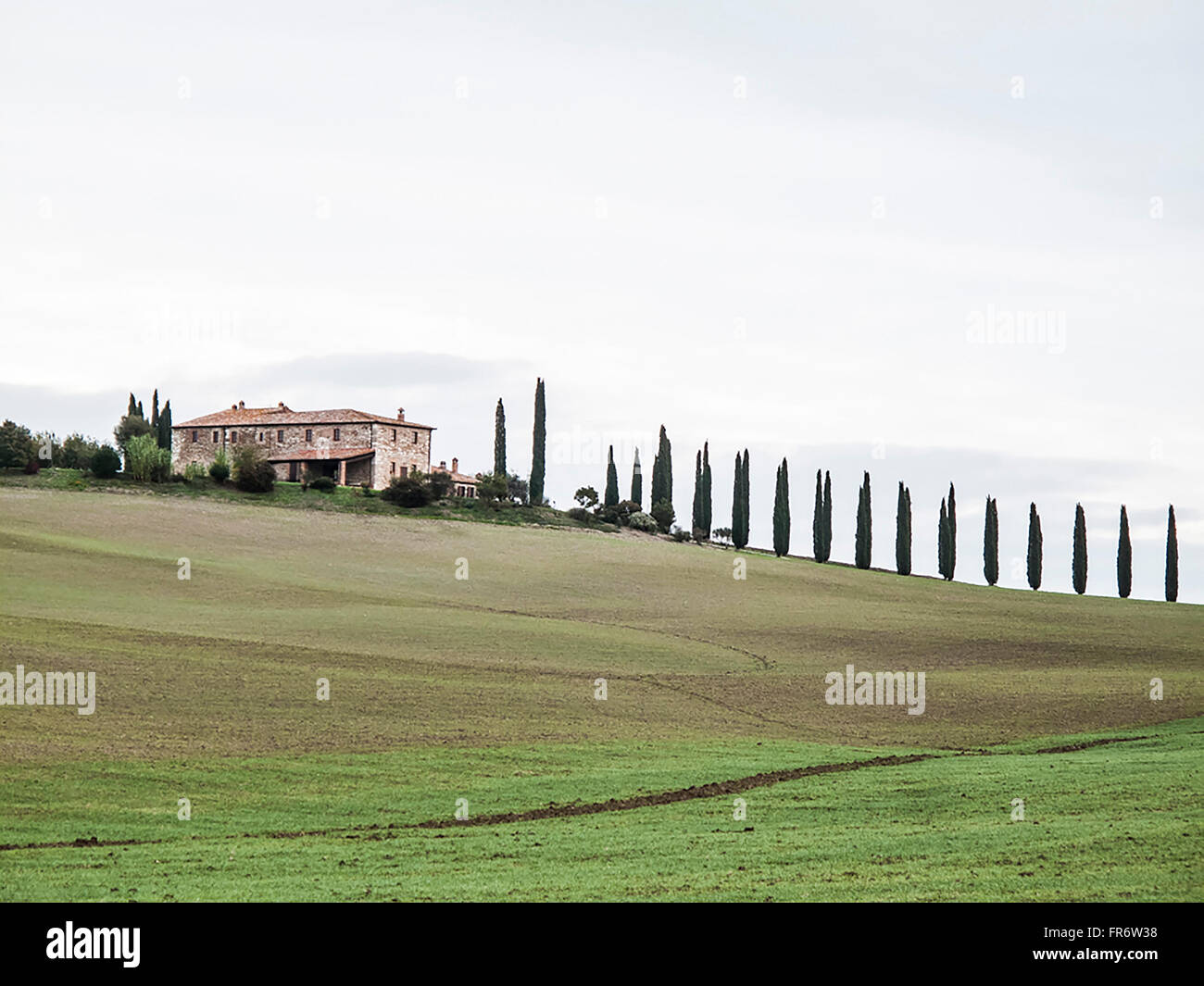 Paysage de Toscane avec une maison et une avenue de cyprès Banque D'Images