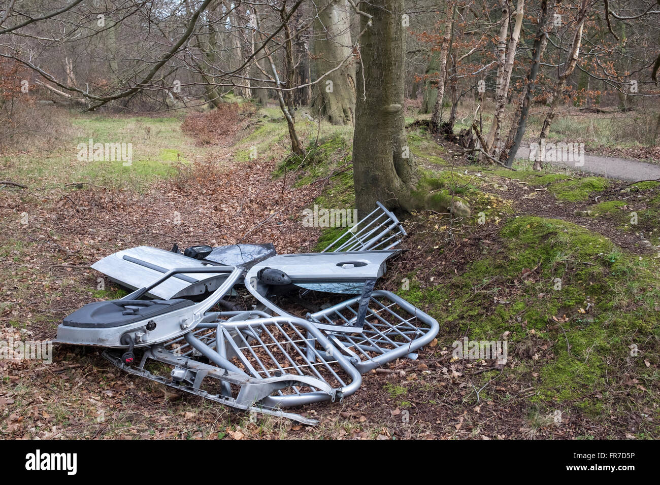 Les décharges sauvages de déchets déversés dans la forêt, Ashridge Hertfordshire Banque D'Images