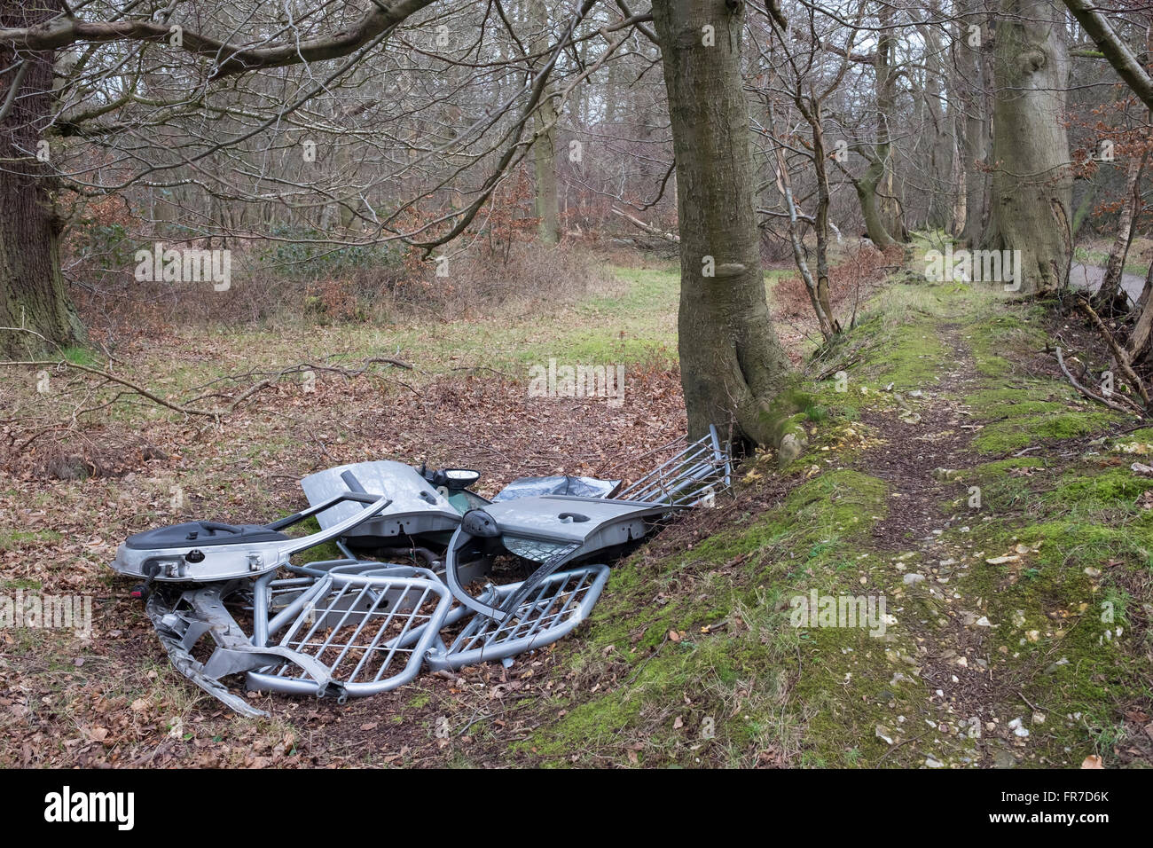 Les décharges sauvages de déchets déversés dans la forêt, Hertfordshire mail@davidlevenson.com Ashridge Banque D'Images