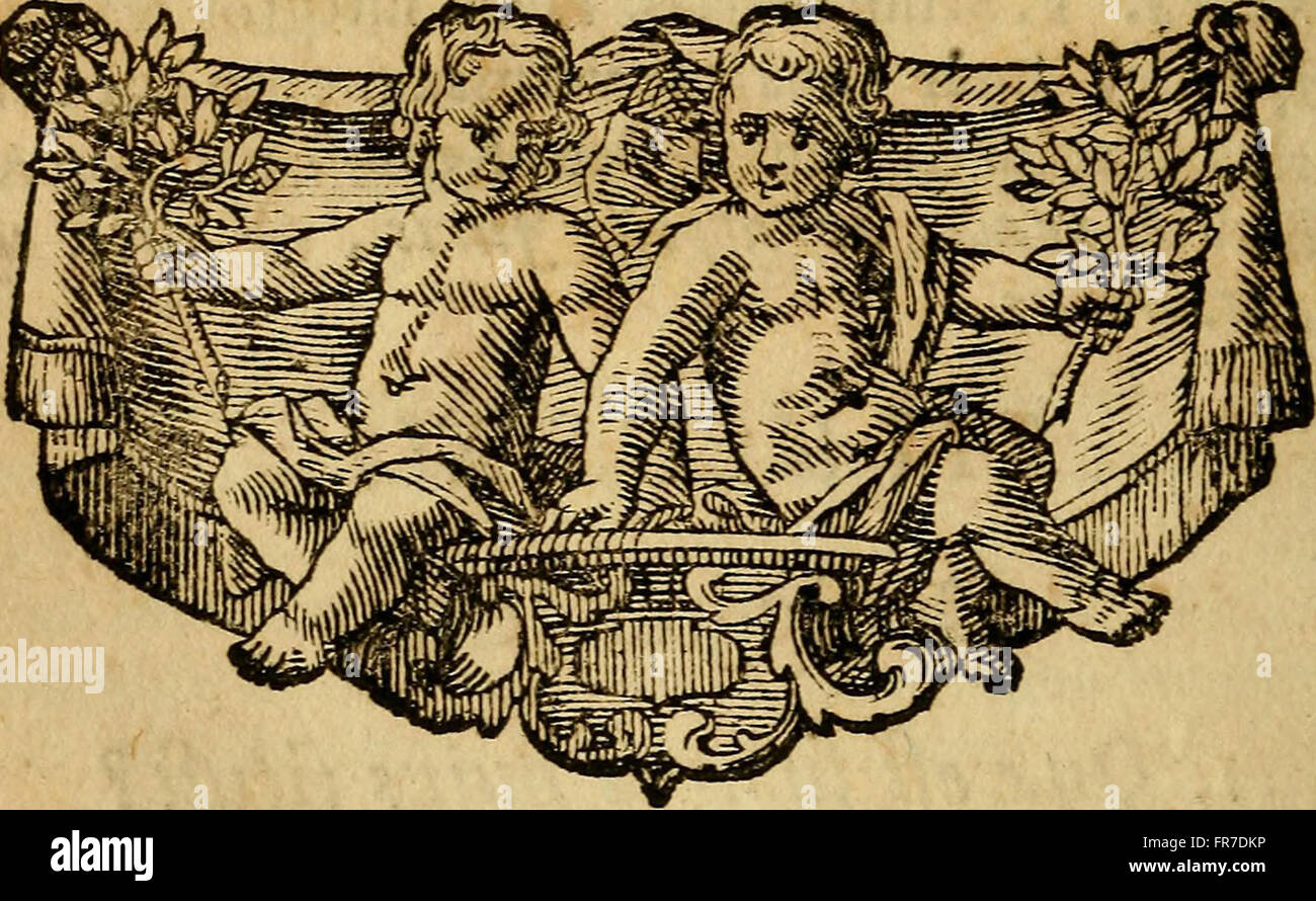 'Examen juris canonici' fournit un examen approfondi du droit canonique, à la suite des interprétations récentes de canonistes éminents, visant à aider les étudiants à comprendre la théorie et la pratique, développé à l'Université de Vienne. Banque D'Images