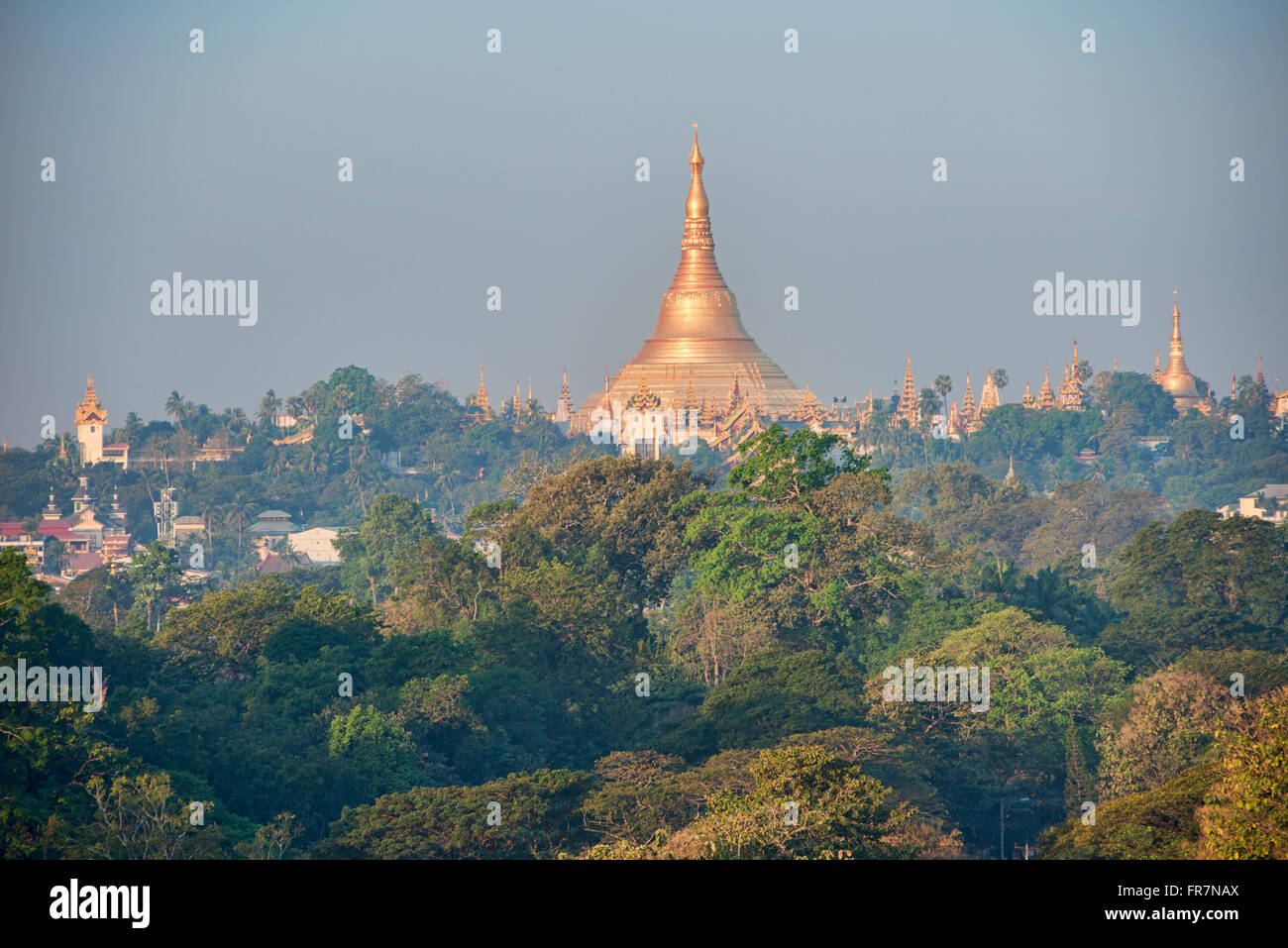 Paya Shwedagon d'or, le plus sacré de pèlerinage de Yangon, Myanmar Banque D'Images