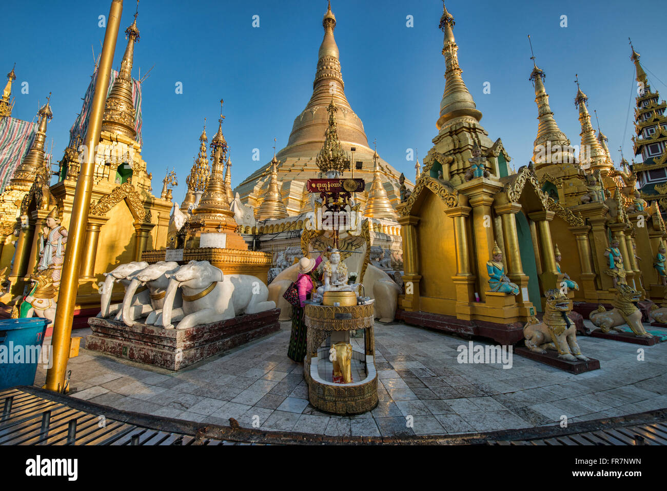 Paya Shwedagon d'or, le plus sacré de pèlerinage de Yangon, Myanmar Banque D'Images
