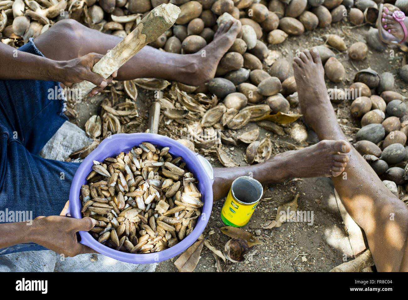 Familia briser la noix de coco de babassu région du Parrot's Beak Banque D'Images