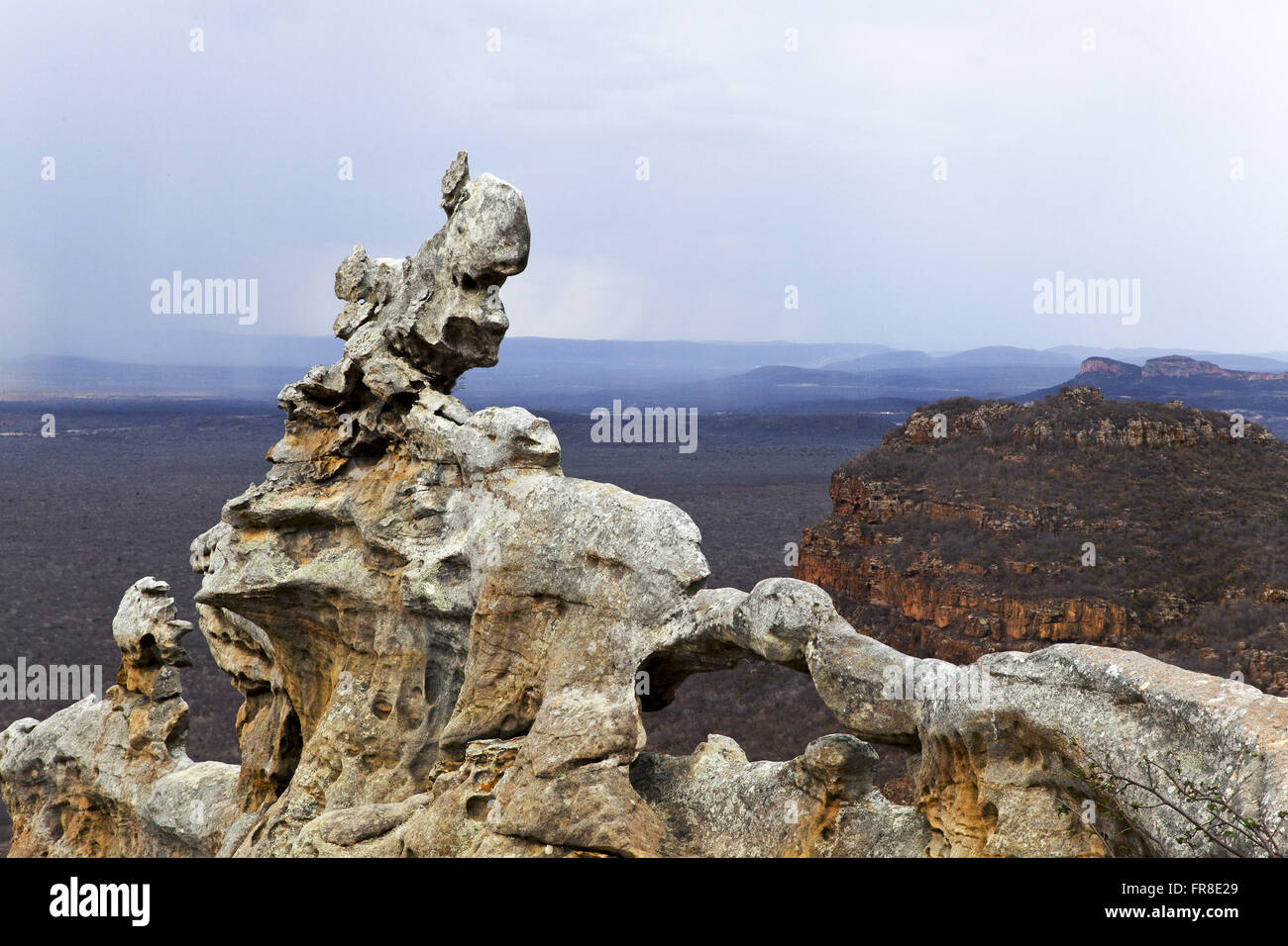 Les formations de grès sur la piste d'Umburanas Catimbau - National Park Banque D'Images