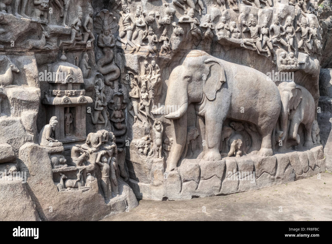 Descente du Gange, Mahabalipuram, Tamil Nadu, Inde, Asie Banque D'Images