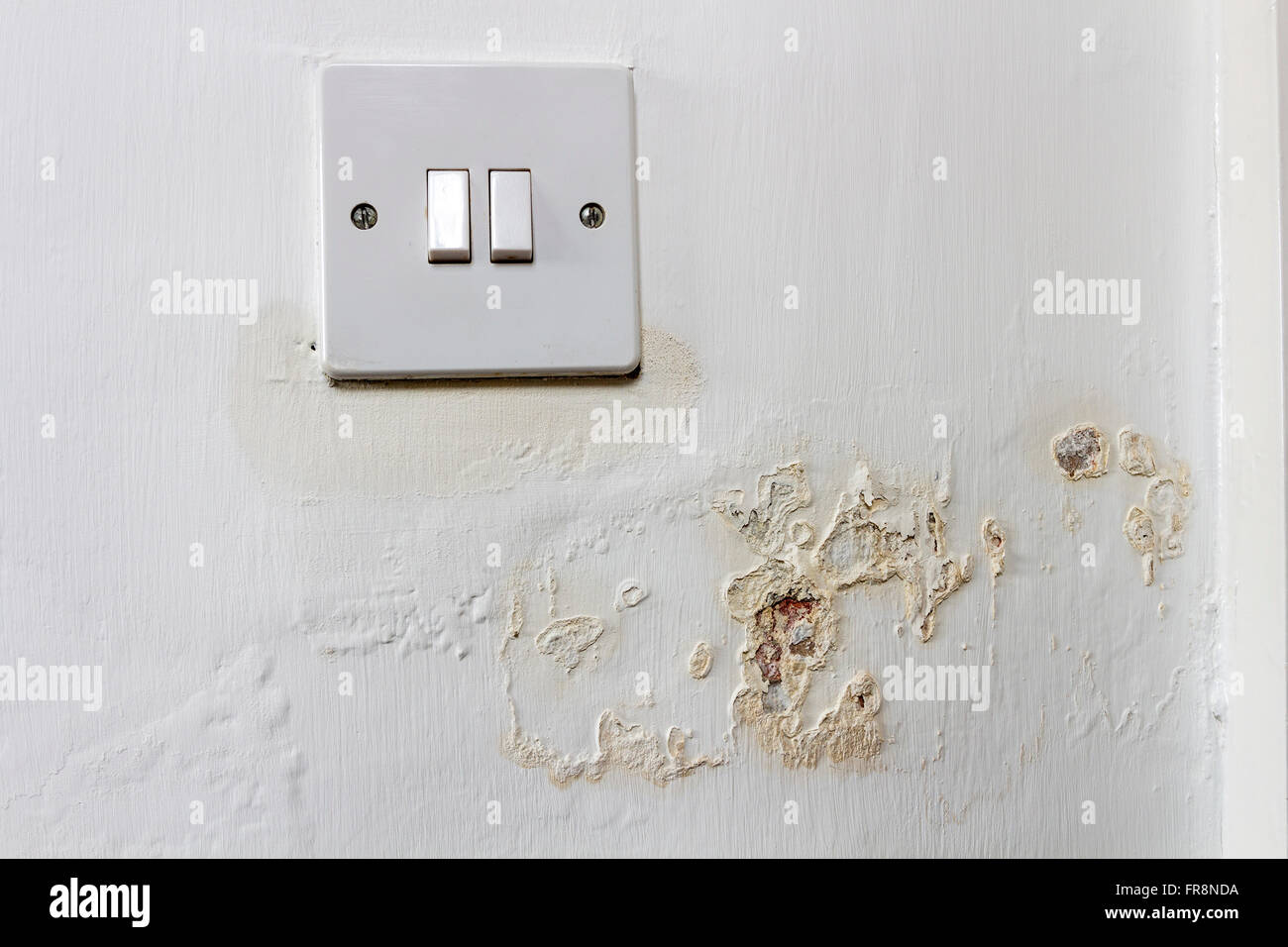 L'humidité s'échappe d'un mur et autour d'un interrupteur d'éclairage dans une maison de location où le locateur n'a pas réussi à régler le problème. Banque D'Images