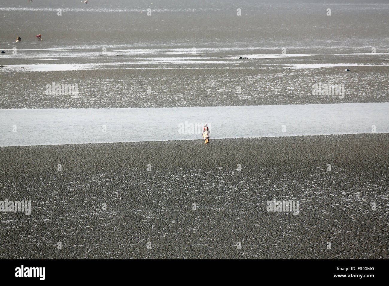 Lits de boue sur la rivière Matla pendant la marée basse l'eau dans la ville de Canning, Inde Banque D'Images
