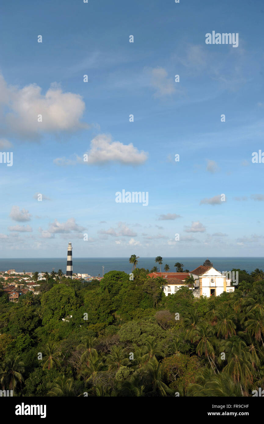 La végétation du jardin Horto Botanico Del Rey ou Olinda situé dans la région de Alto da Sé - EP Banque D'Images
