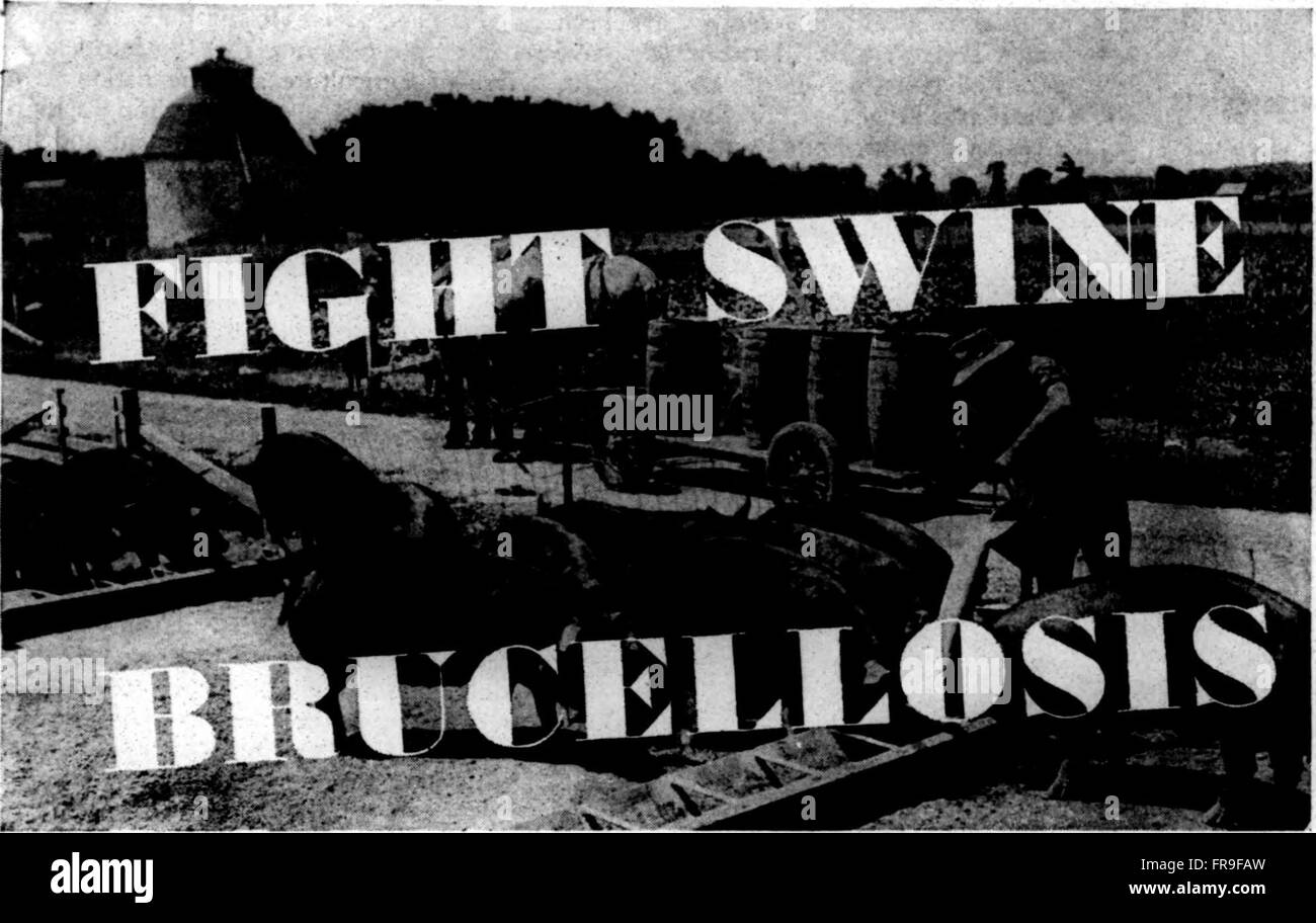 Ce dossier de l'Illinois Agricultural Association de 1944 à 1949 documente les développements, politiques et pratiques agricoles dans l'Illinois. Il comprend des données sur la production végétale, les techniques agricoles et les activités associatives au cours de cette période. Banque D'Images