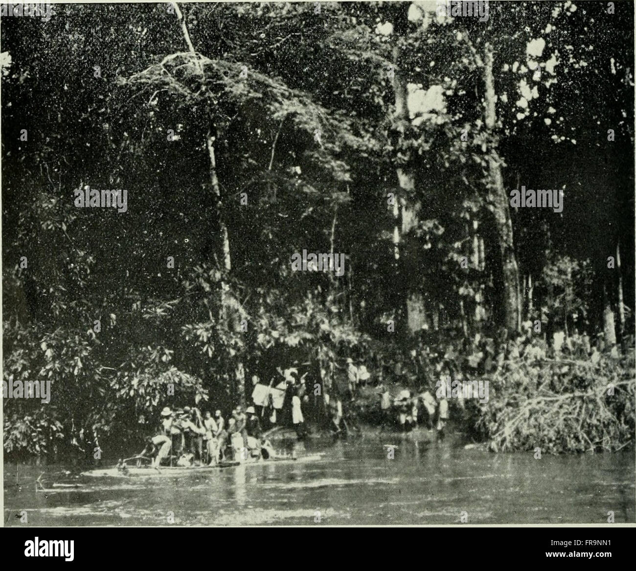 L'American Museum Journal (c1900-1918) présente des articles scientifiques sur divers sujets, y compris l'anthropologie, la paléontologie, l'archéologie et les études muséales, publiant les dernières recherches et découvertes dans ces domaines. Banque D'Images
