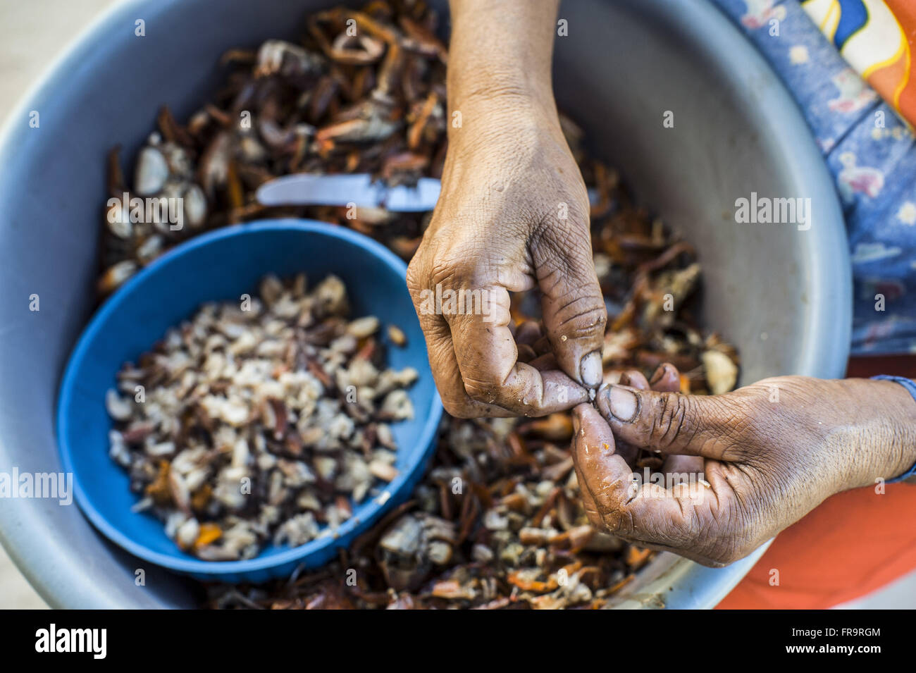 Rupture de travail communautaire - crabe Tinhare Banque D'Images